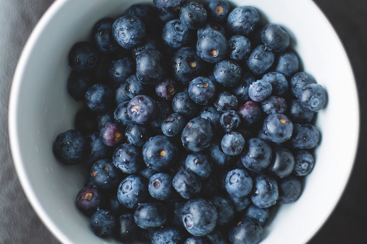 blueberries on white ceramic plate