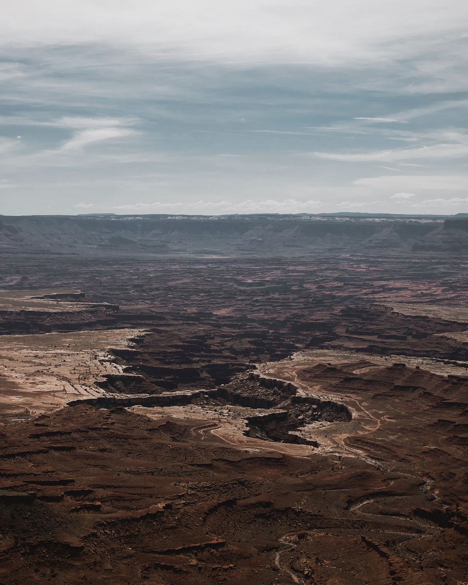 brown desert