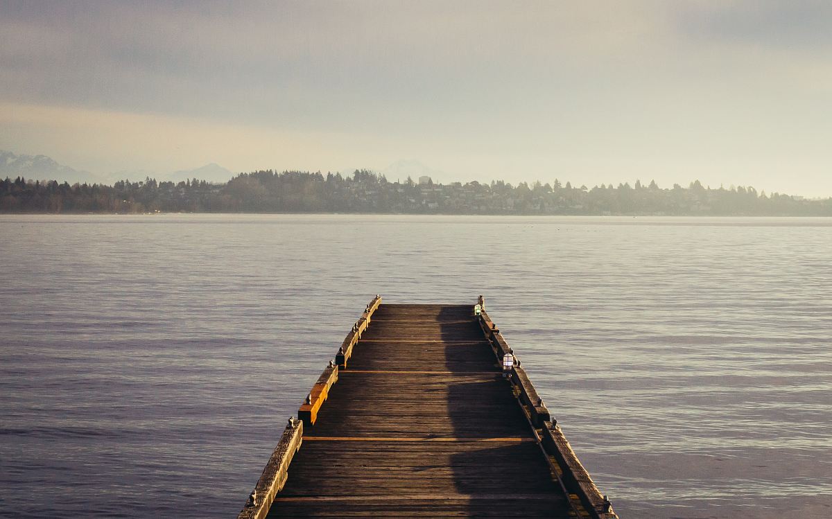 brown wooden dockside beside sea