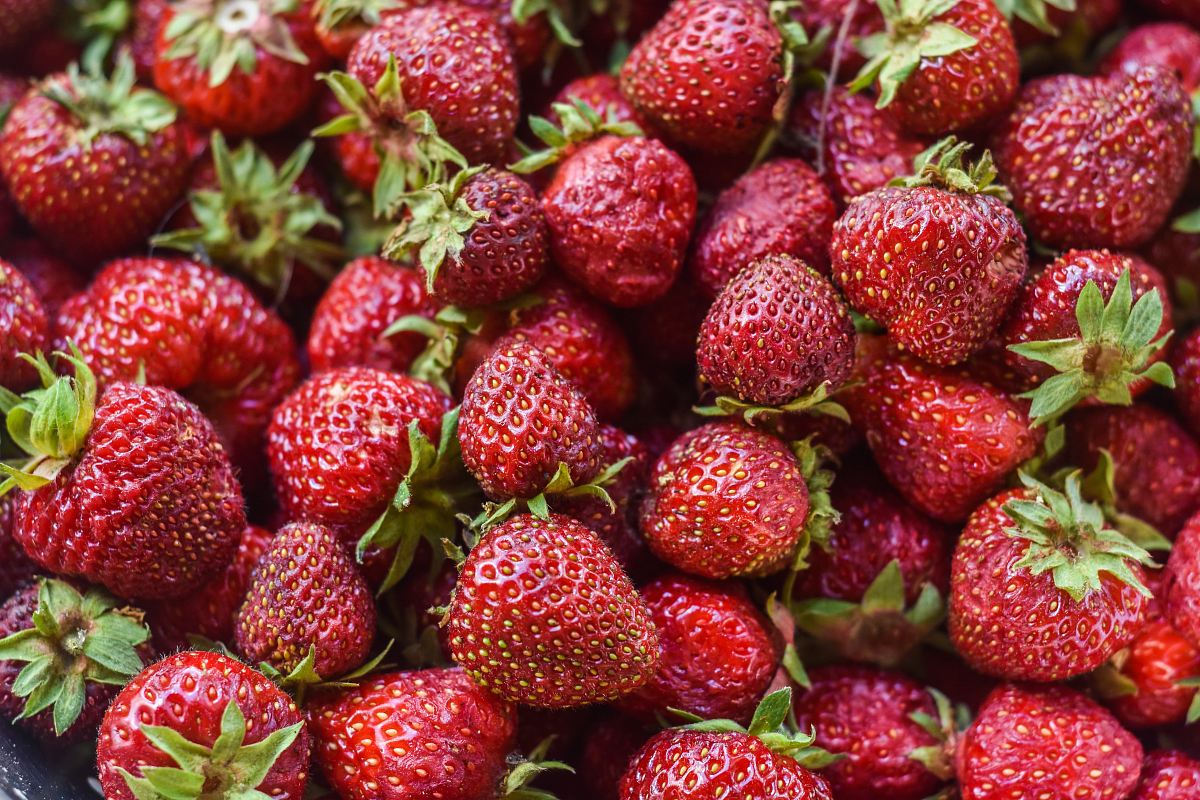 bunch of strawberries