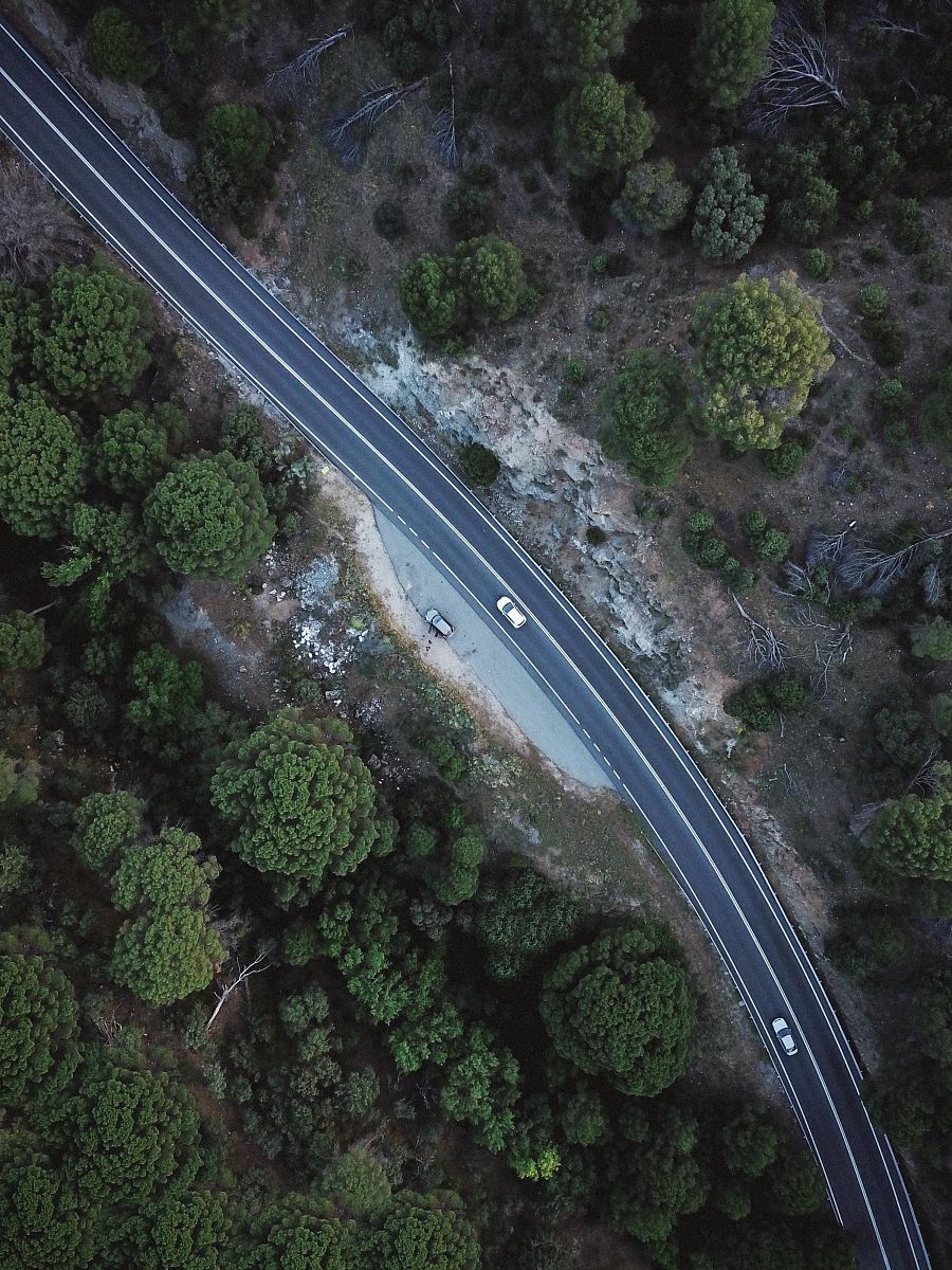 cars on road