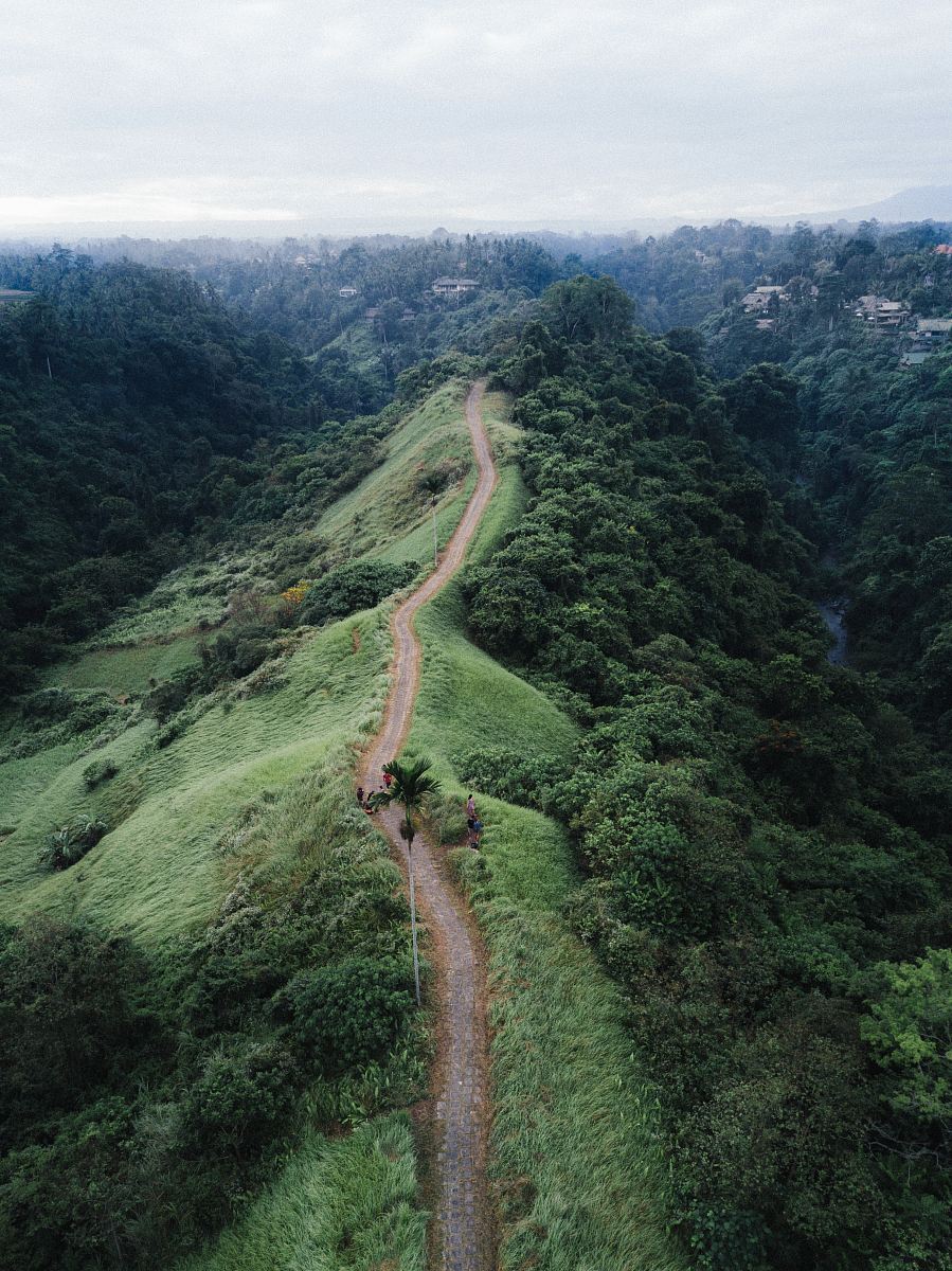 eagle-eye view photography of brown pathway