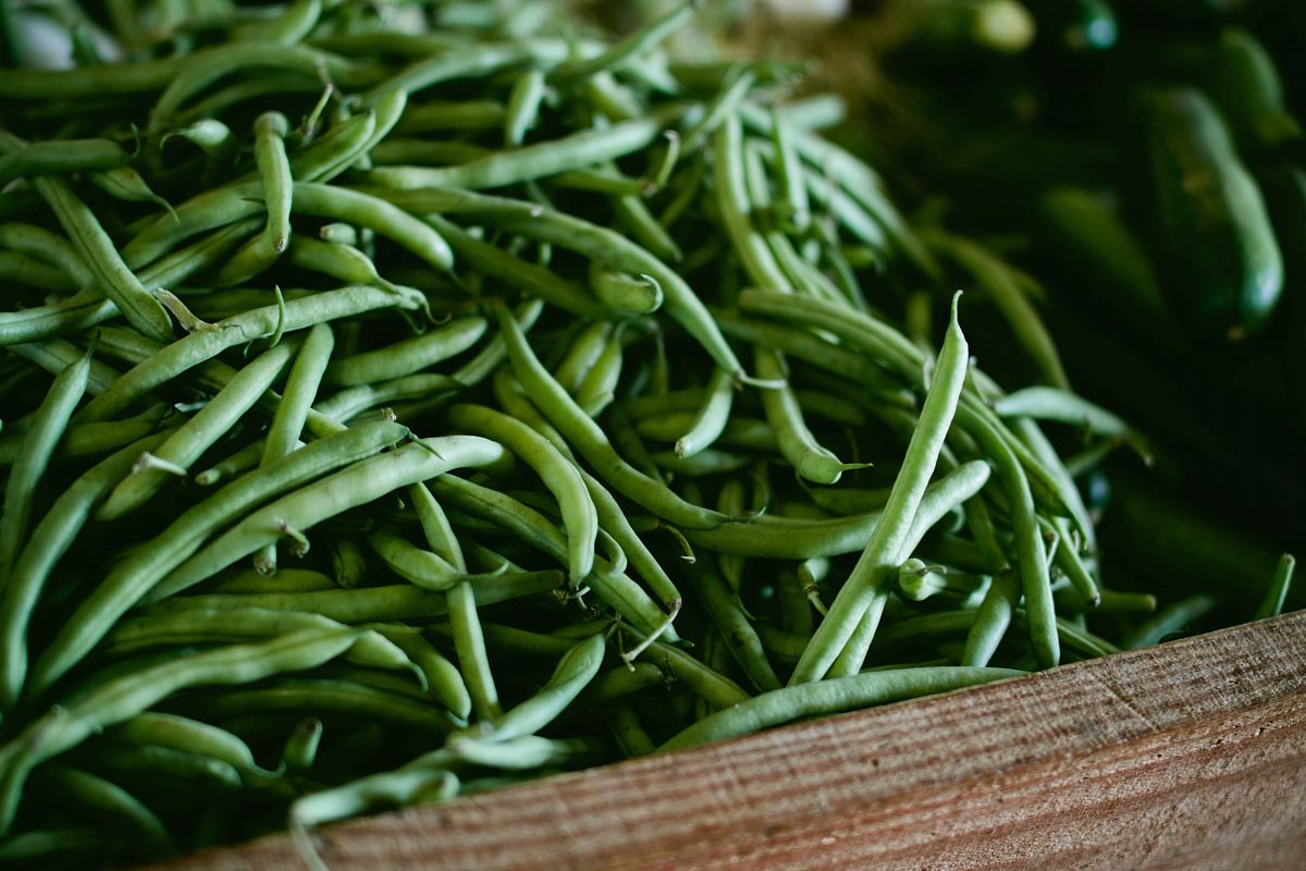 focus photography of green string beans