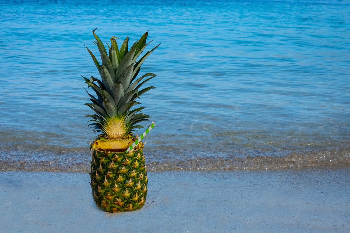 green and yellow pineapple fruit juice near seashore