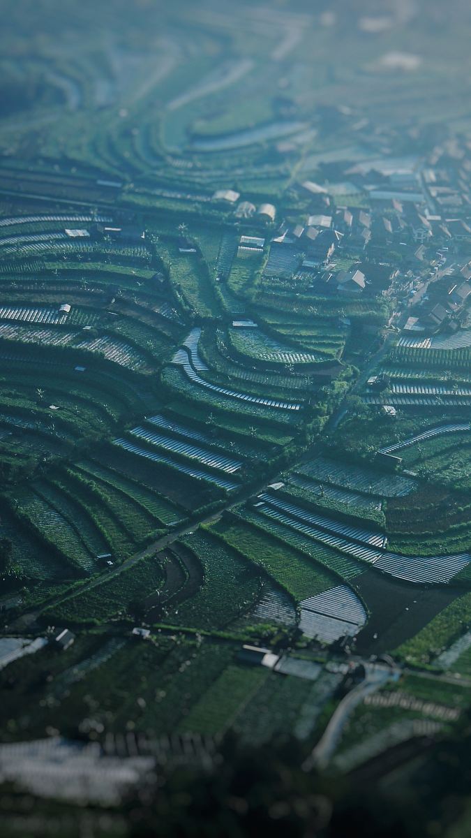 green field during daytime