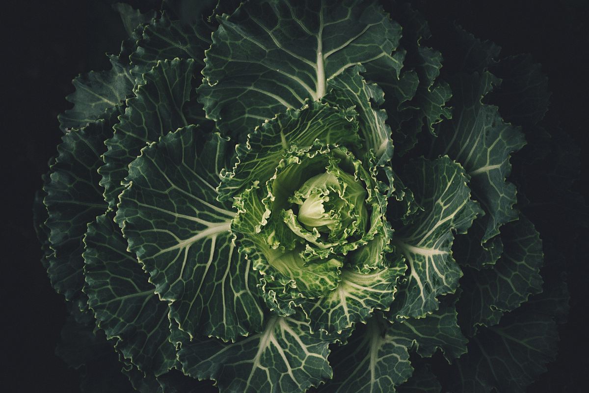 green vegetable