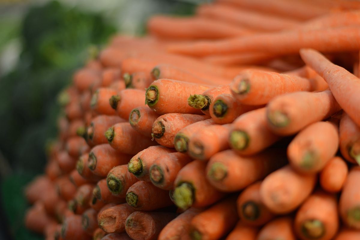 photography pile of carrot