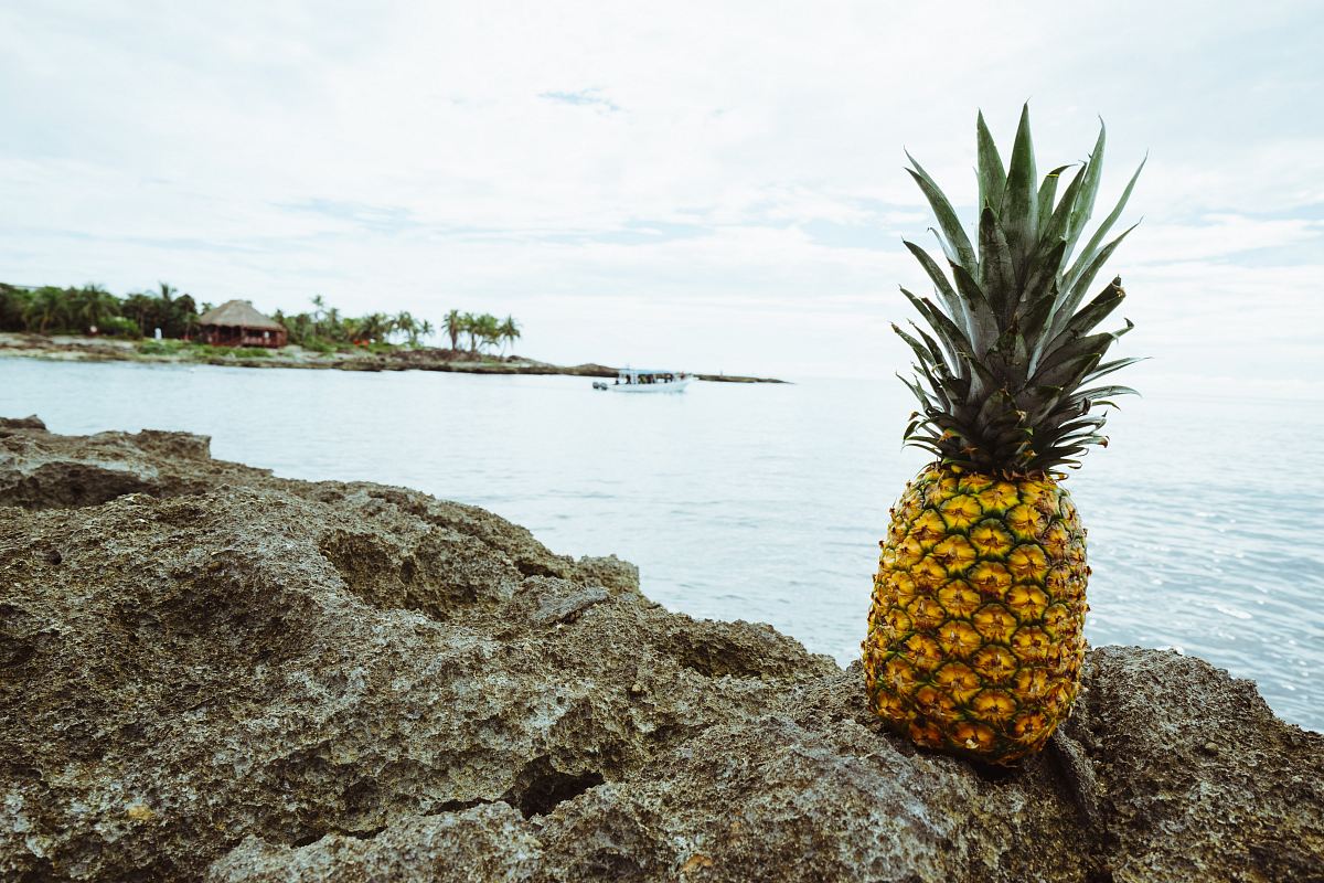 pineapple fruit on rock