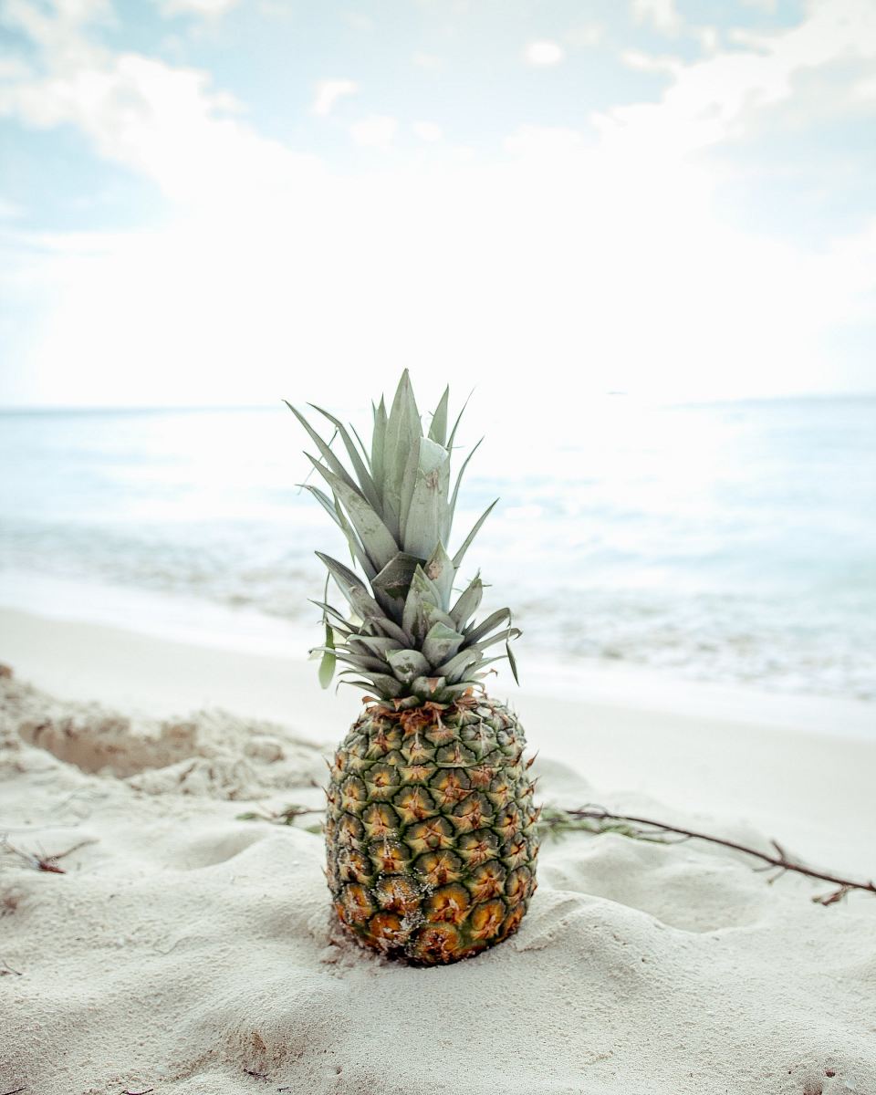 pineapple fruit on the sand