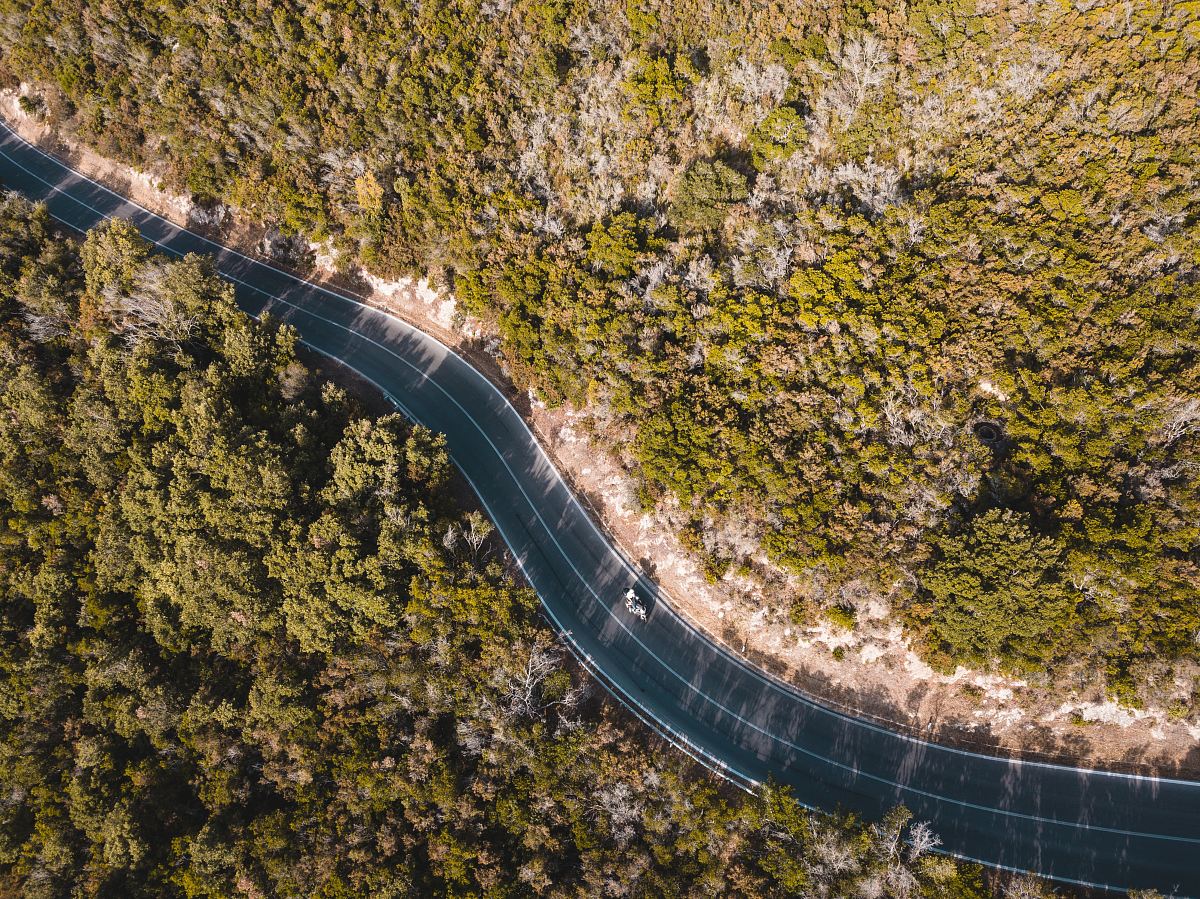 road between trees