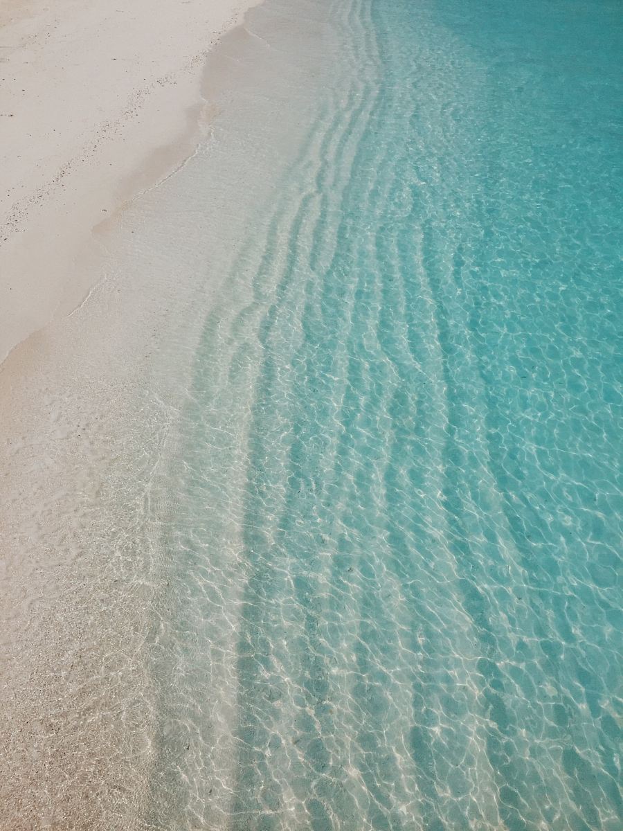 seashore at daytime