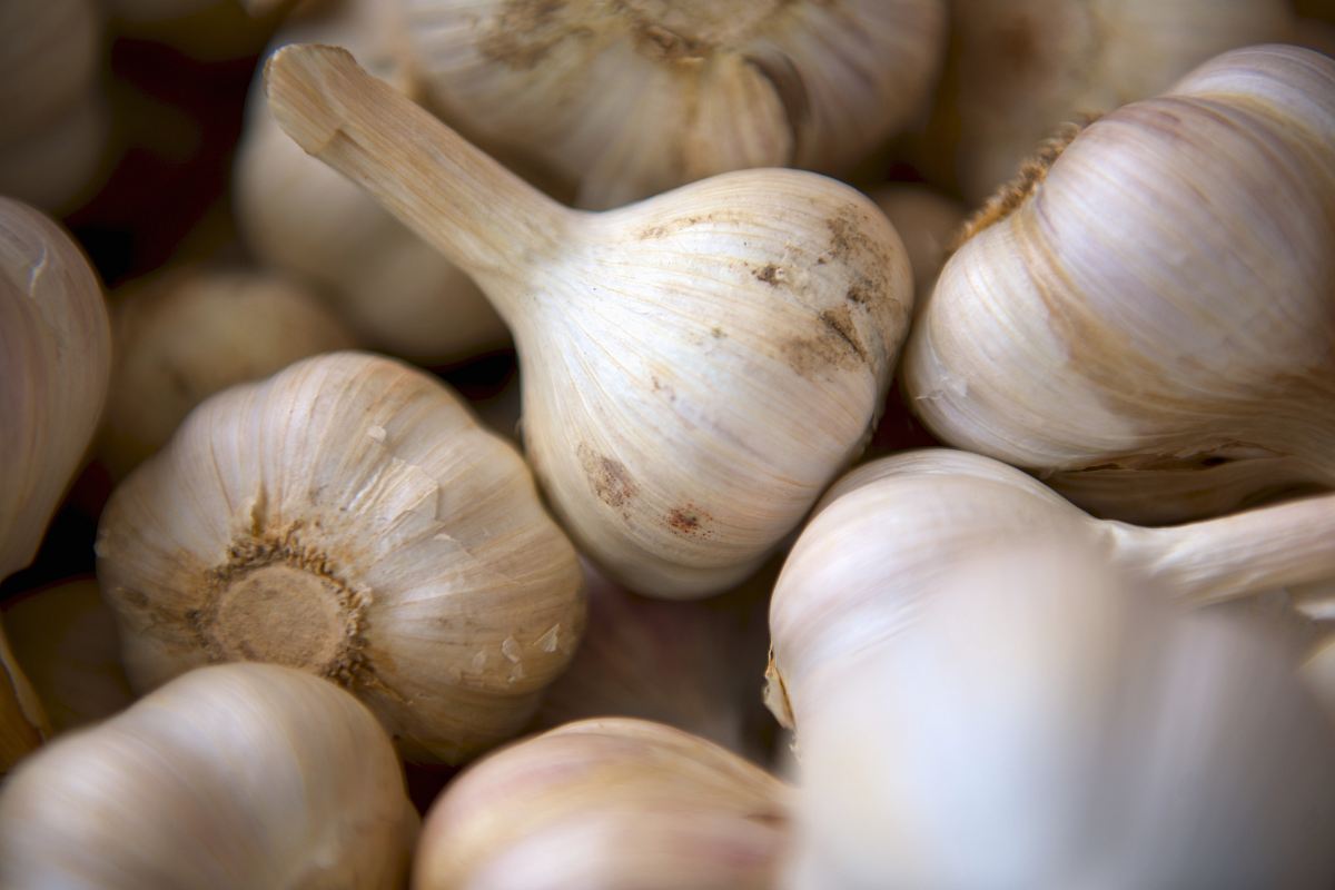 selective focus photography of onion