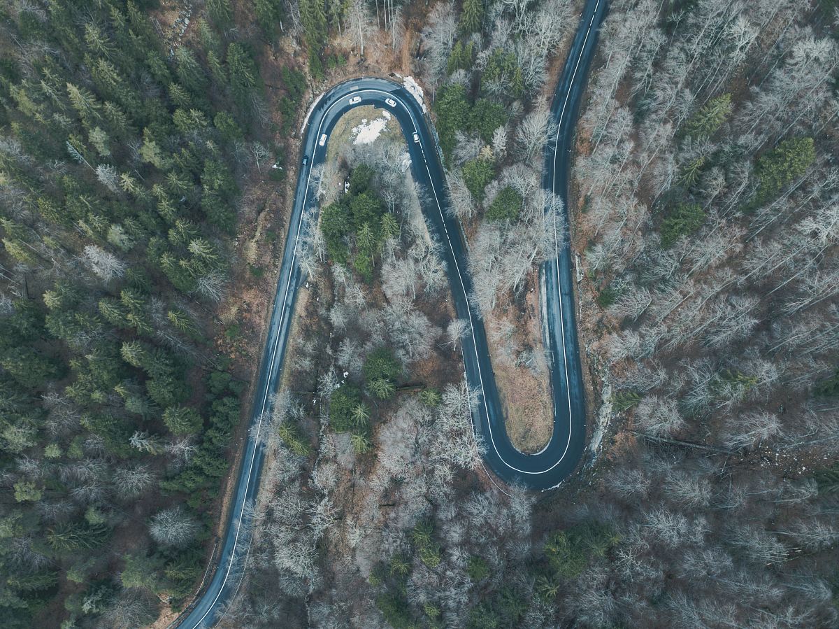 several white cars traveling on winding road across the woods