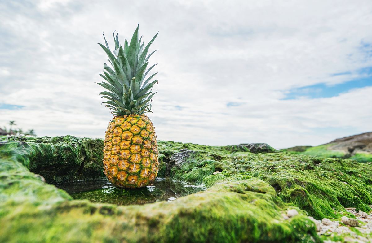shallow focus photo of pineapple fruit