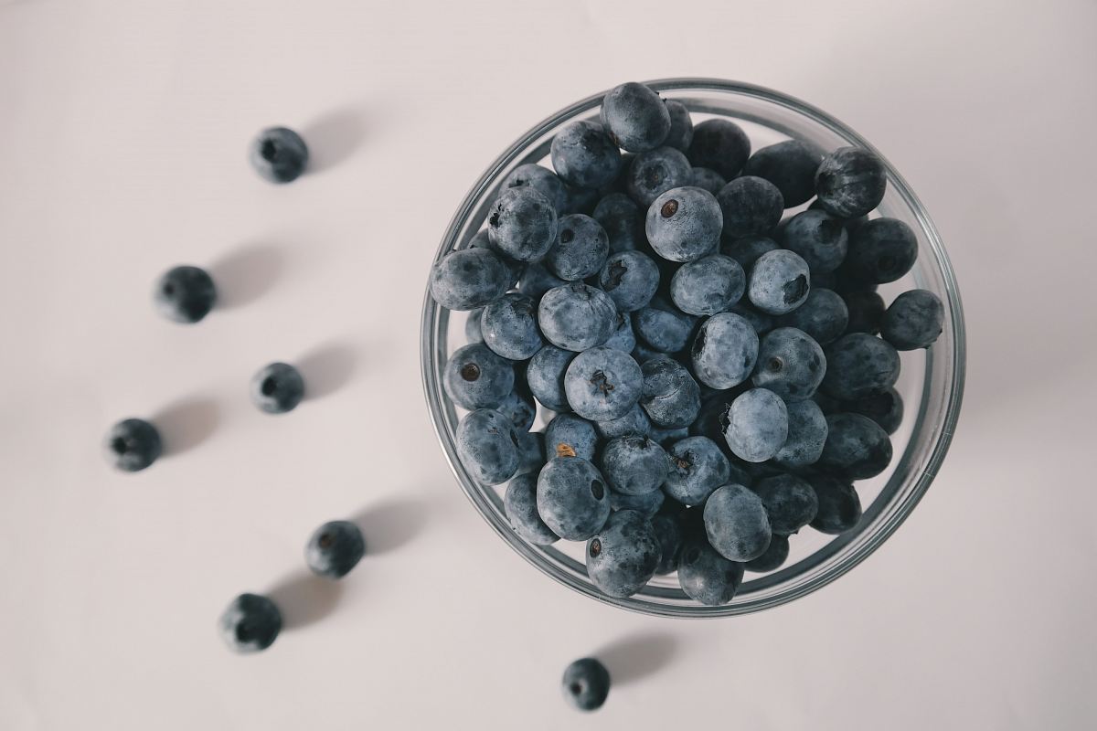 shallow focus photography of blueberries