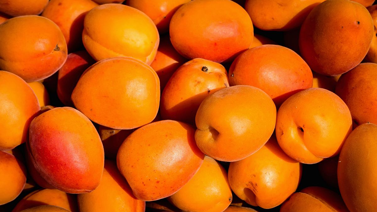 shallow focus photography of orange fruit lot