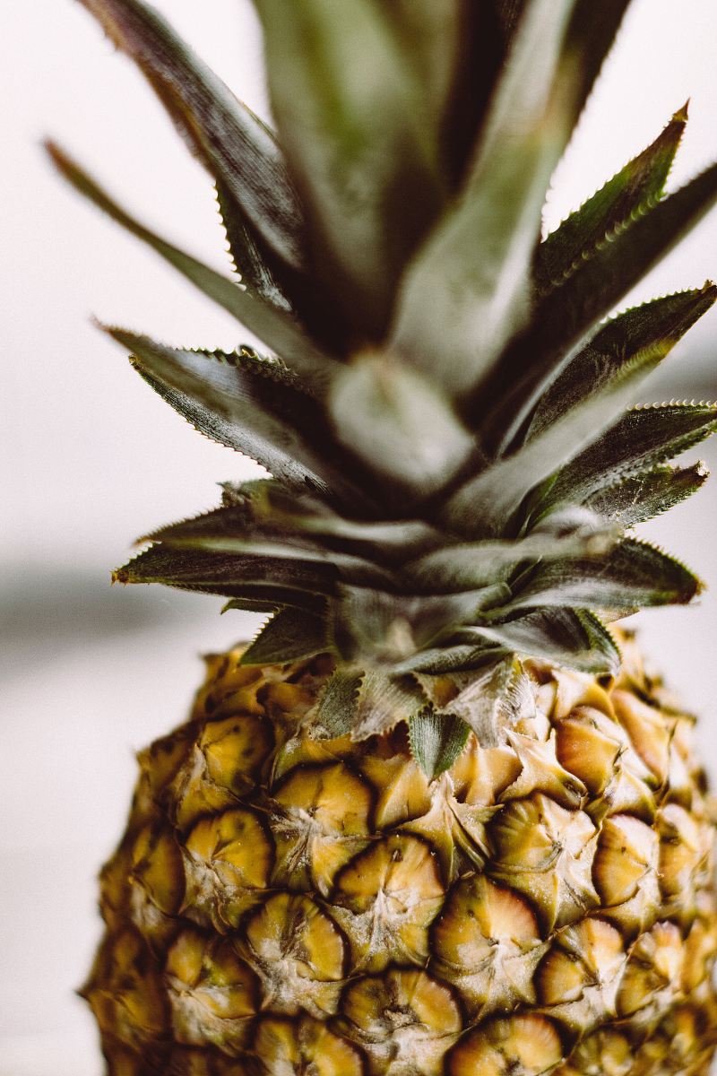 shallow focus photography of pineapple