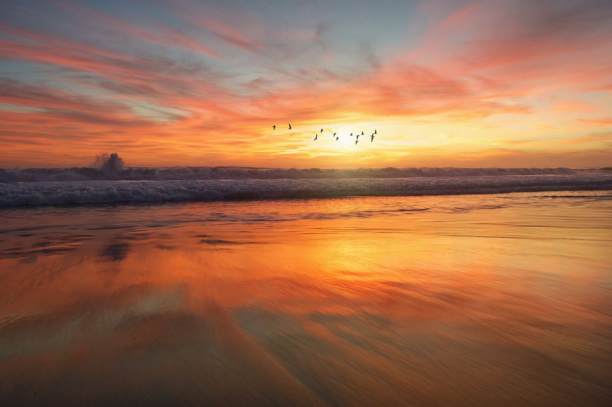 shoreline during golden hour