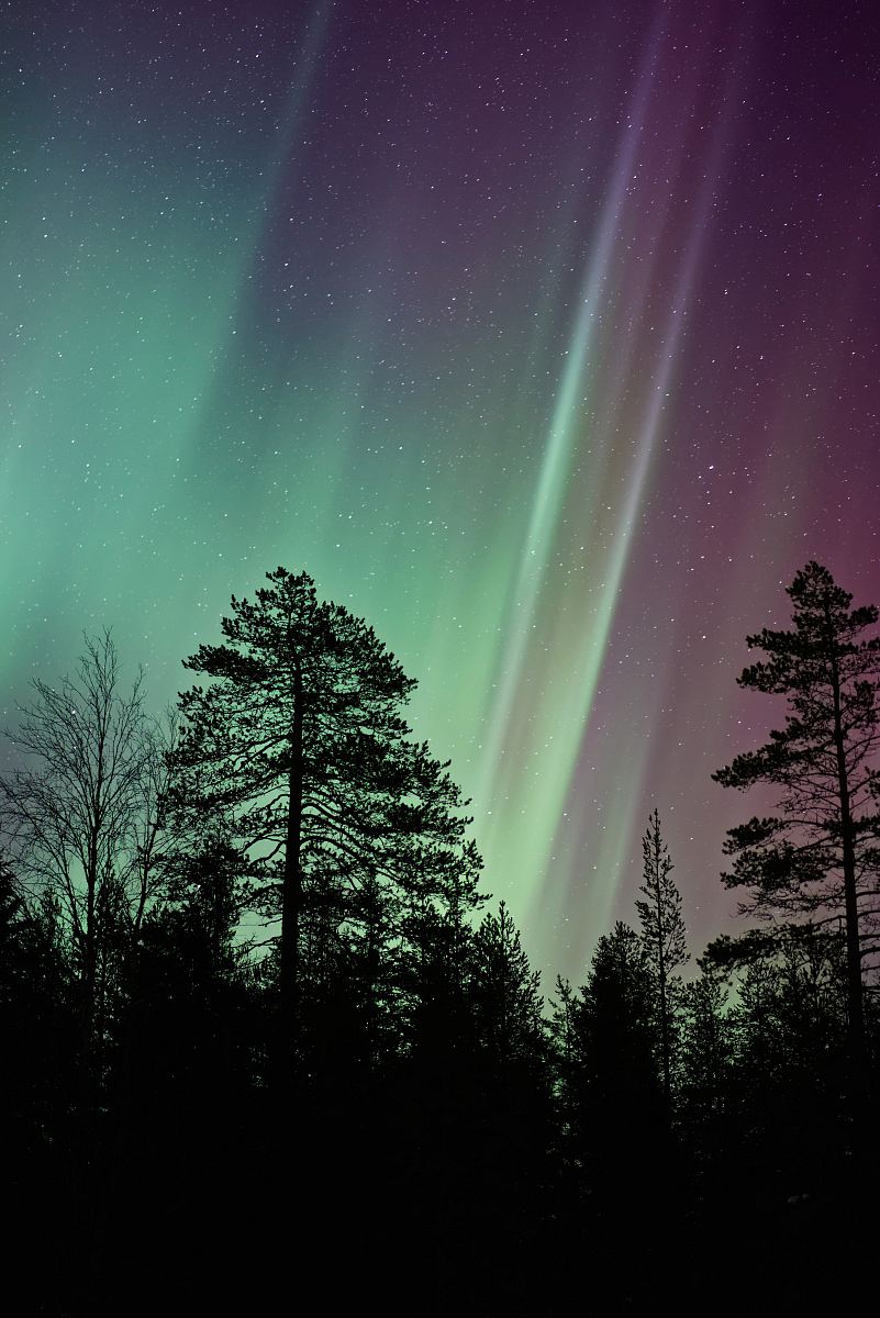 silhouette photo of aurora borealis
