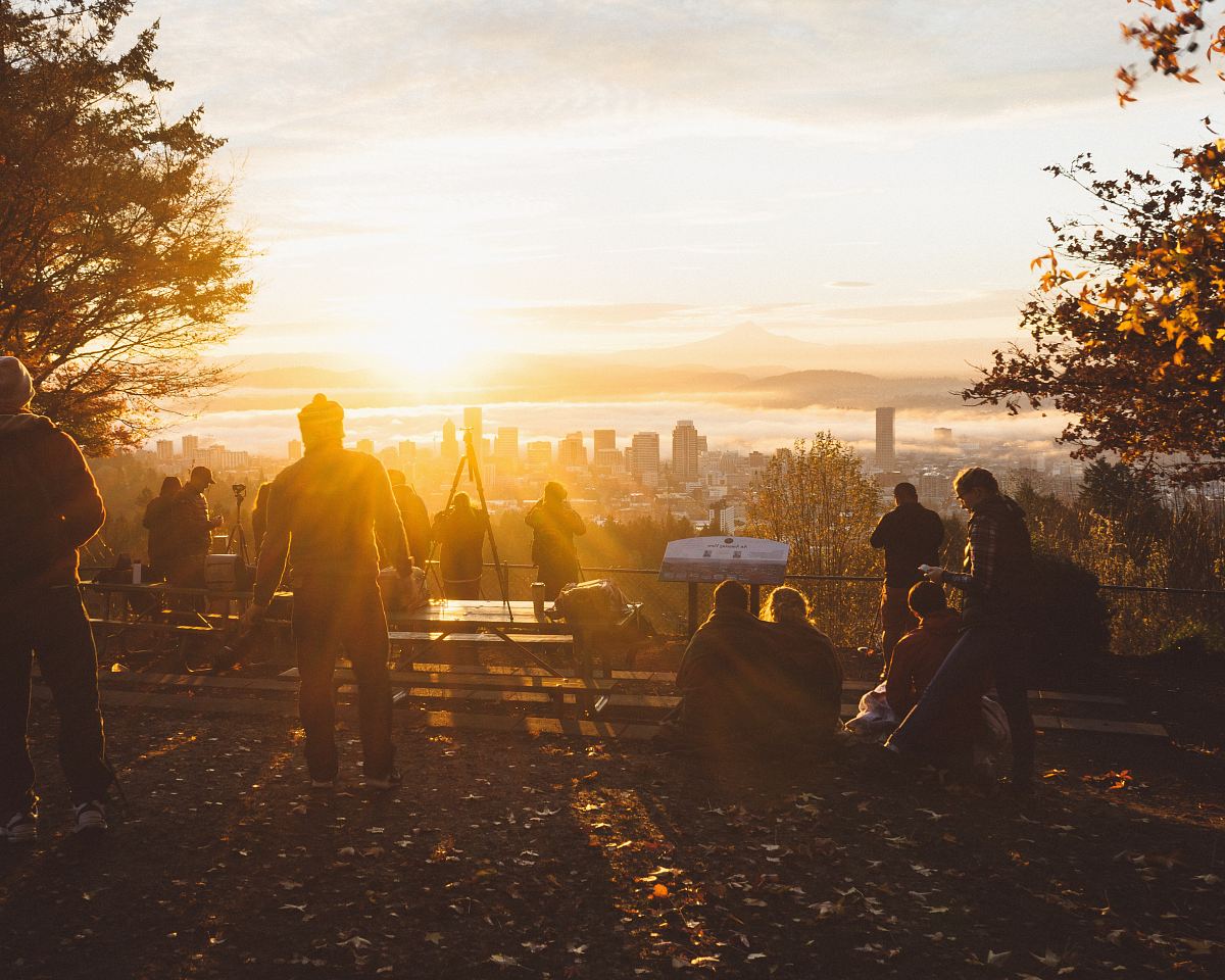 silhouette photography of people standing and sitting near trees over viewing high rise buildings