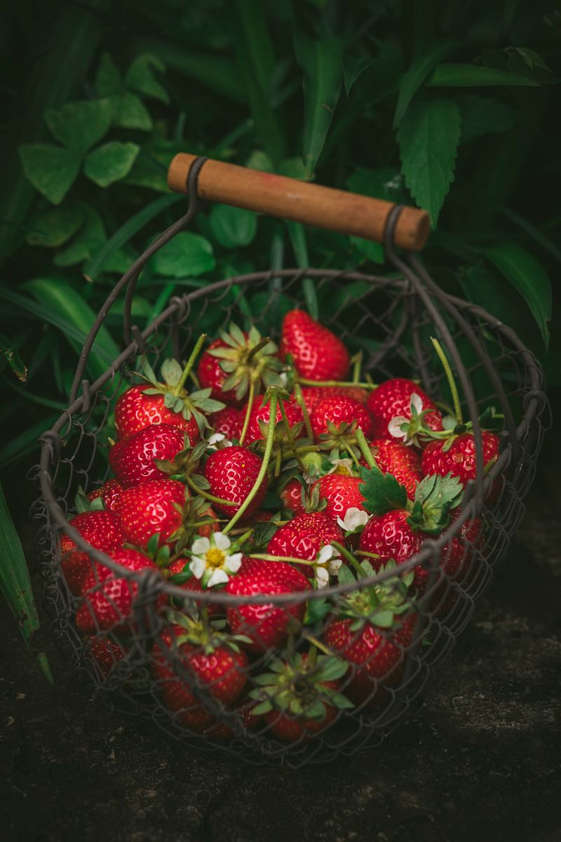 strawberries in metal basket