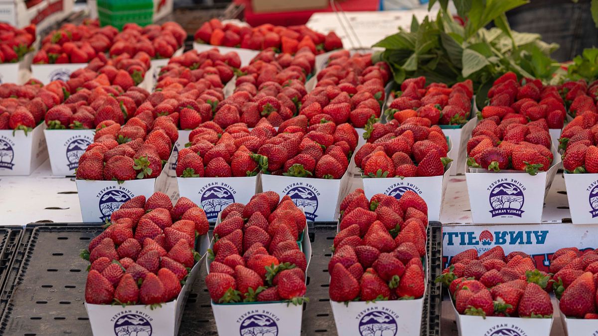 strawberries on display