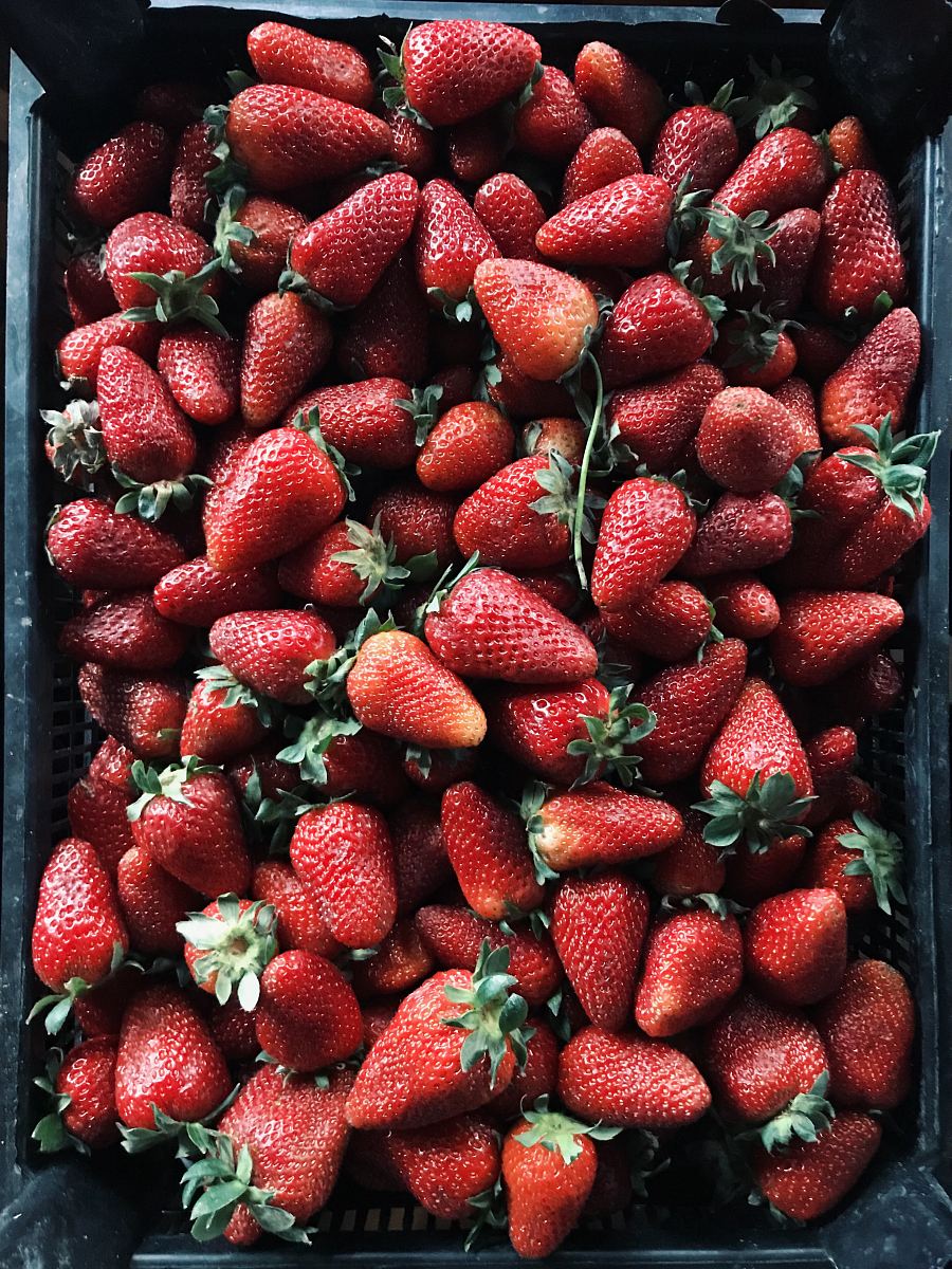strawberry lot on black plastic crate