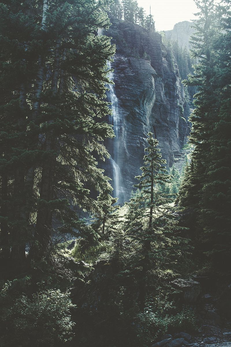 time lapse photo of falls on forest trees