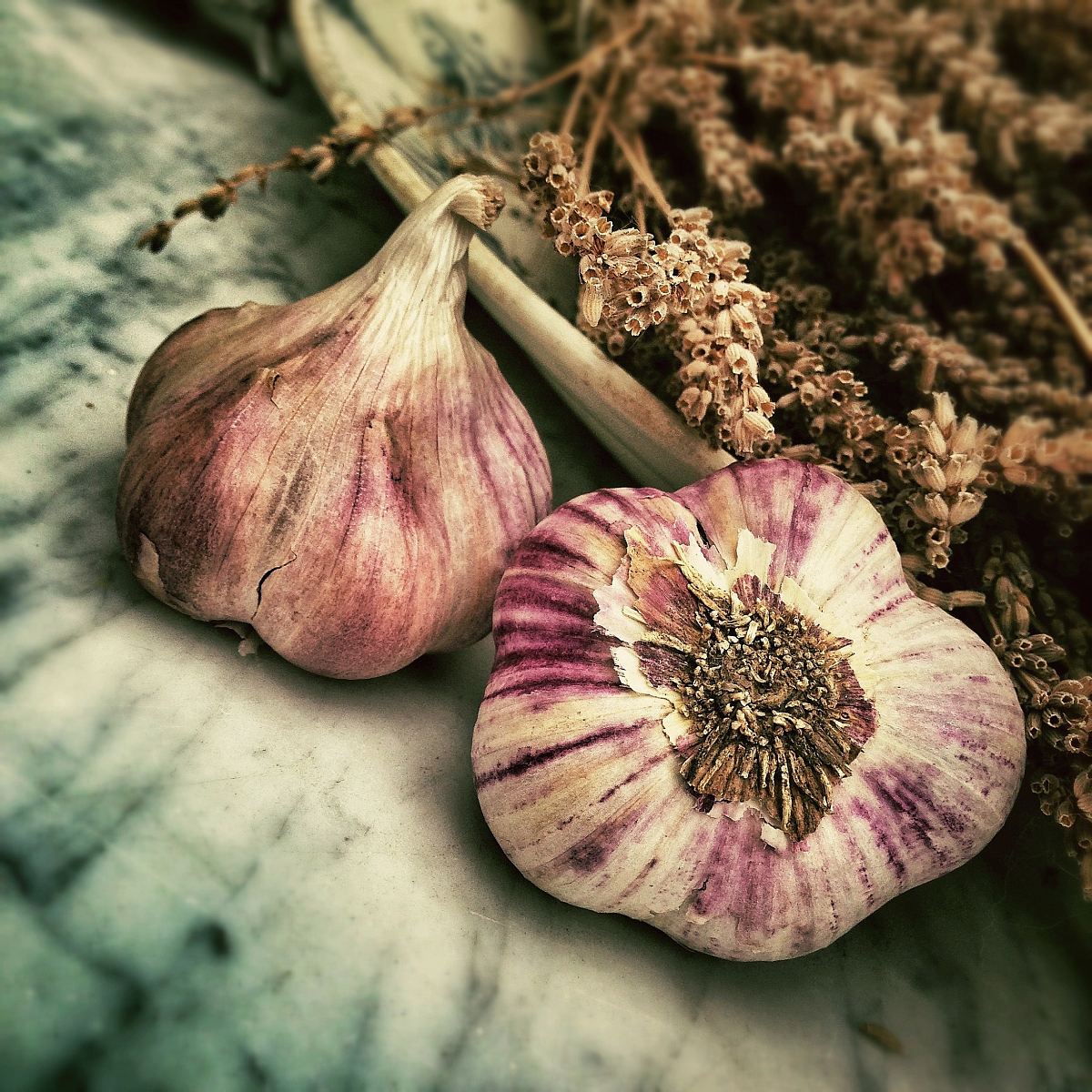 two garlic in shallow focus photography