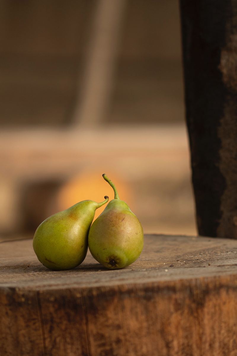 two pears on wood