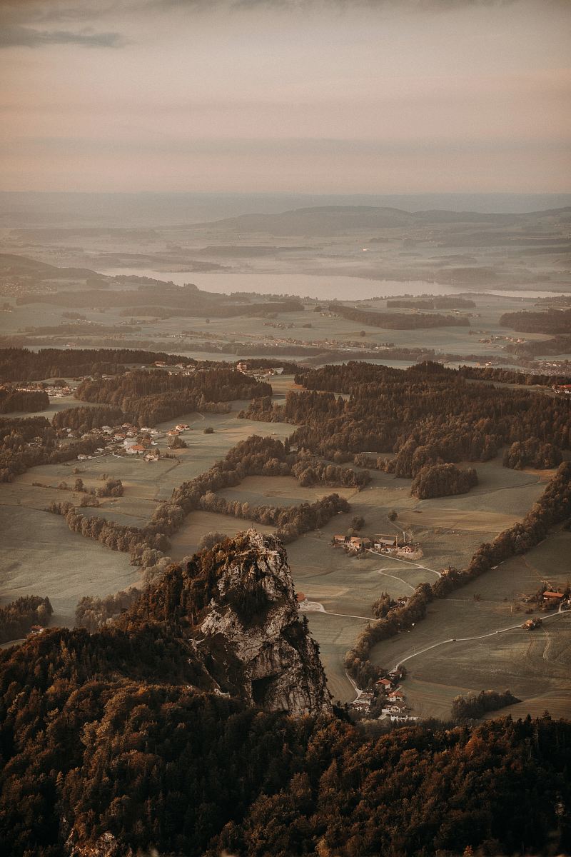 view of trees in aerial photography