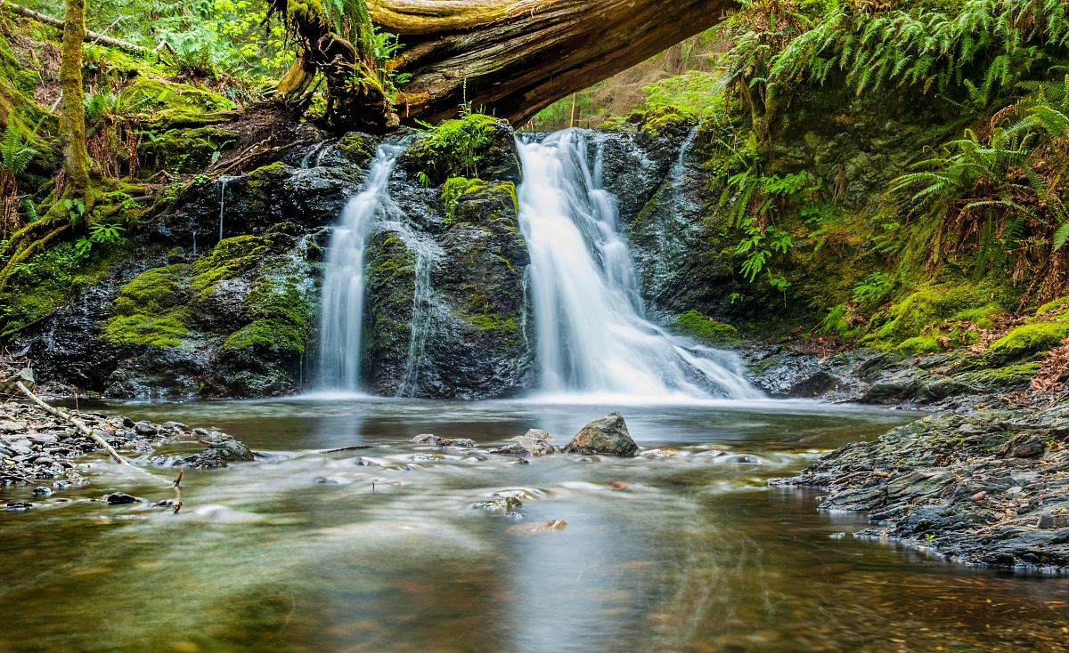 water falls near green trees