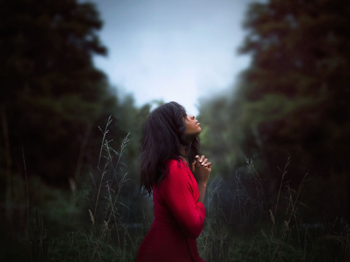 woman wearing red sweatshirt looking at top between trees near grass during daytime