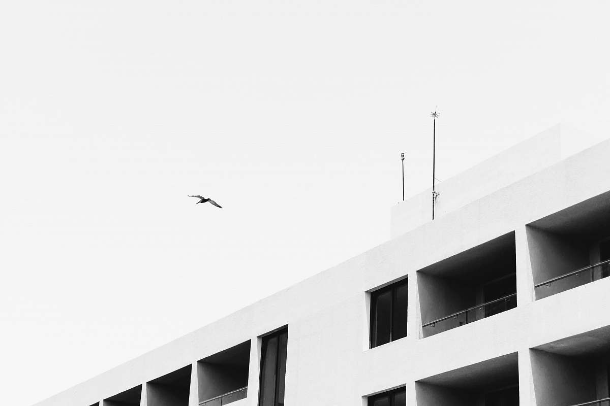 building black bird under white clouds black-and-white