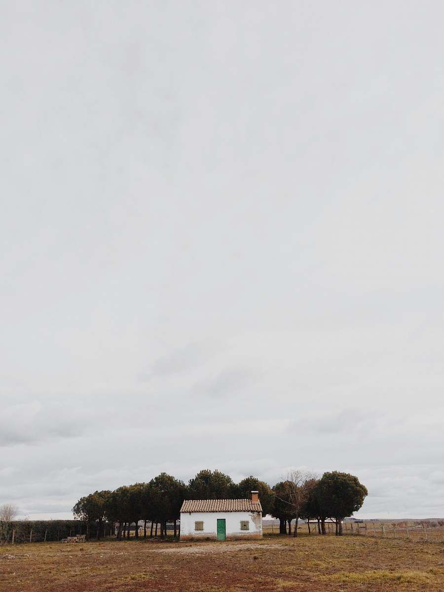 house white house beside trees in front brown field tree