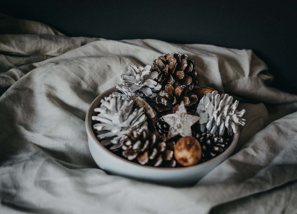 dessert bowl of pinecone donut