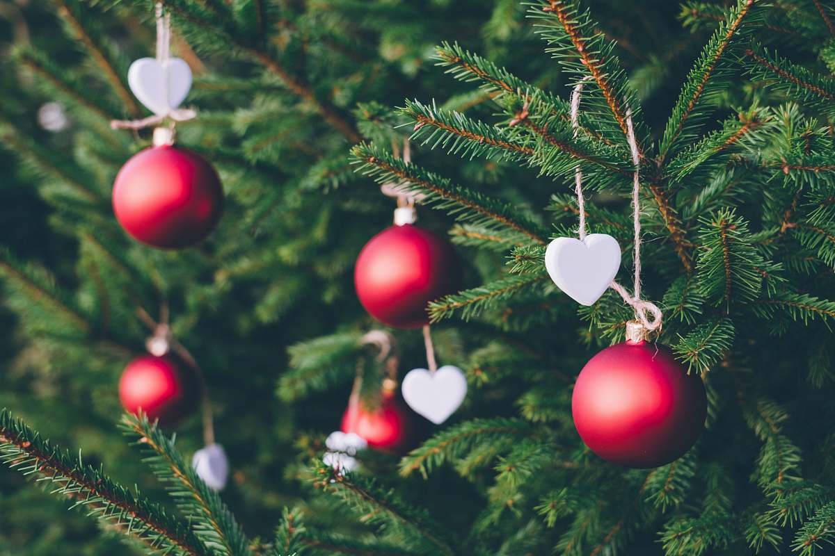 tree green Christmas tree with red ornaments ornament