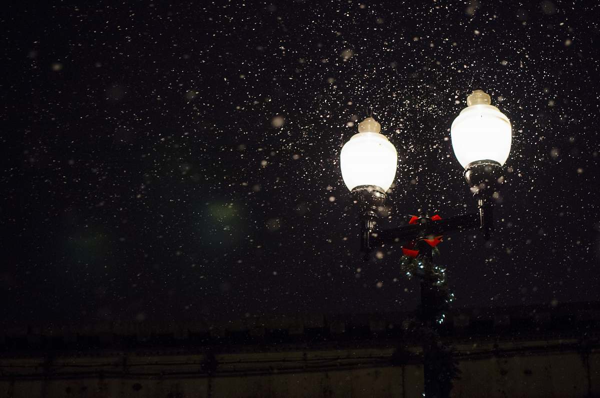 winter low-angle photo of 2-bulb lamp with snow falling during nighttime light
