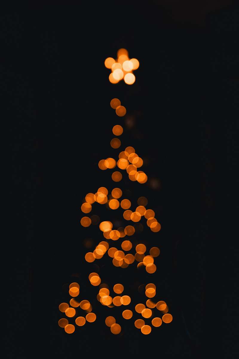 food orange bokeh photography plant