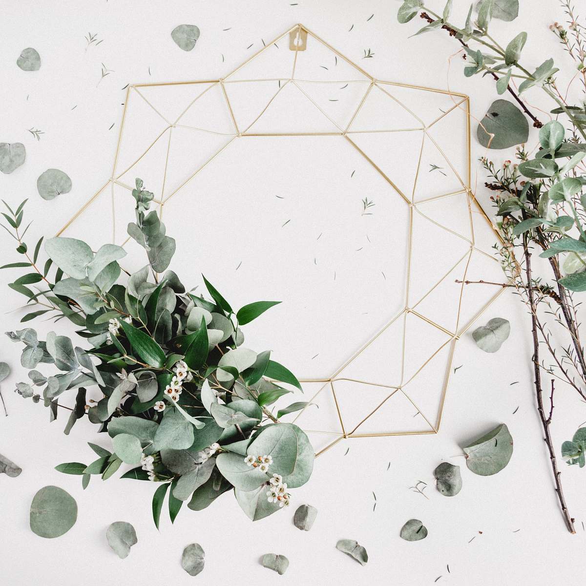 plant white flowers with green leaves background