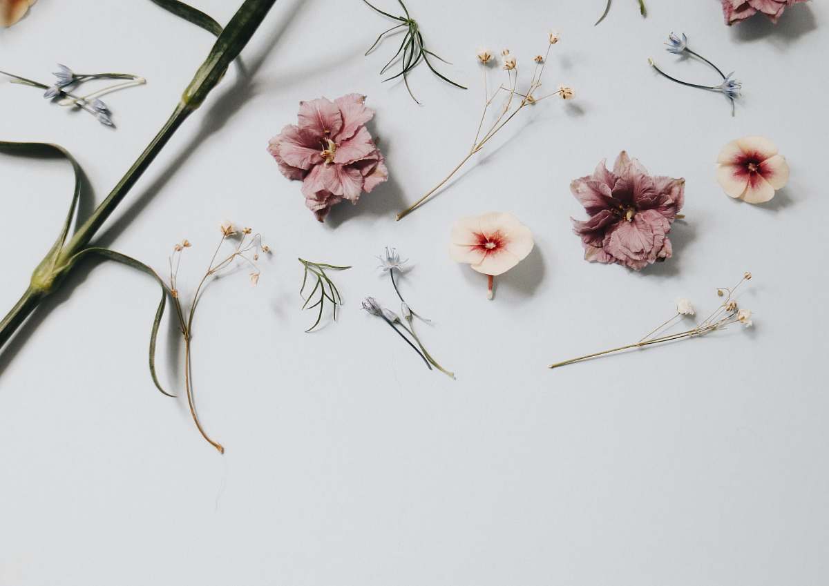 plant floral artwork on surface minimal