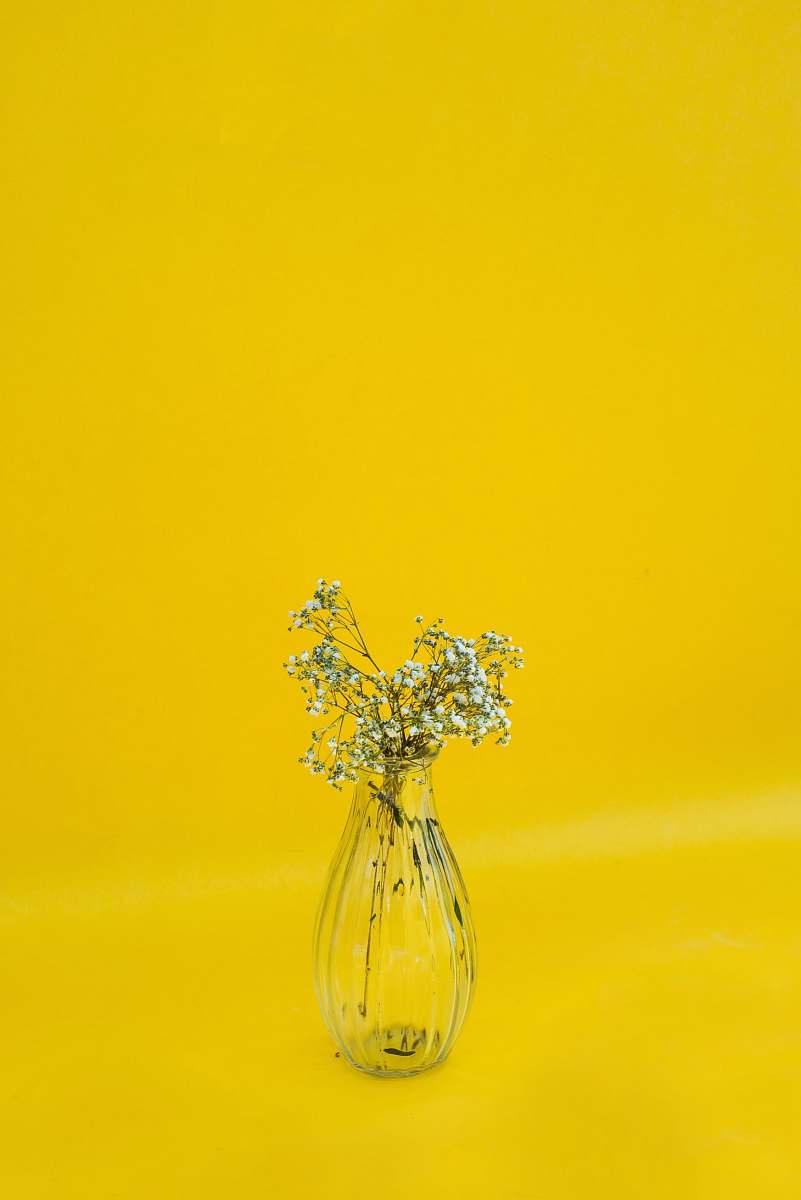 yellow white flowers in clear glass vase vase