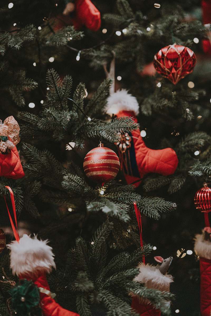 plant Christmas tree with decor lot christmas tree