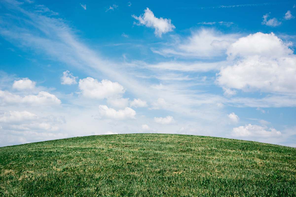 field landscape of grass field under blue sky grassland