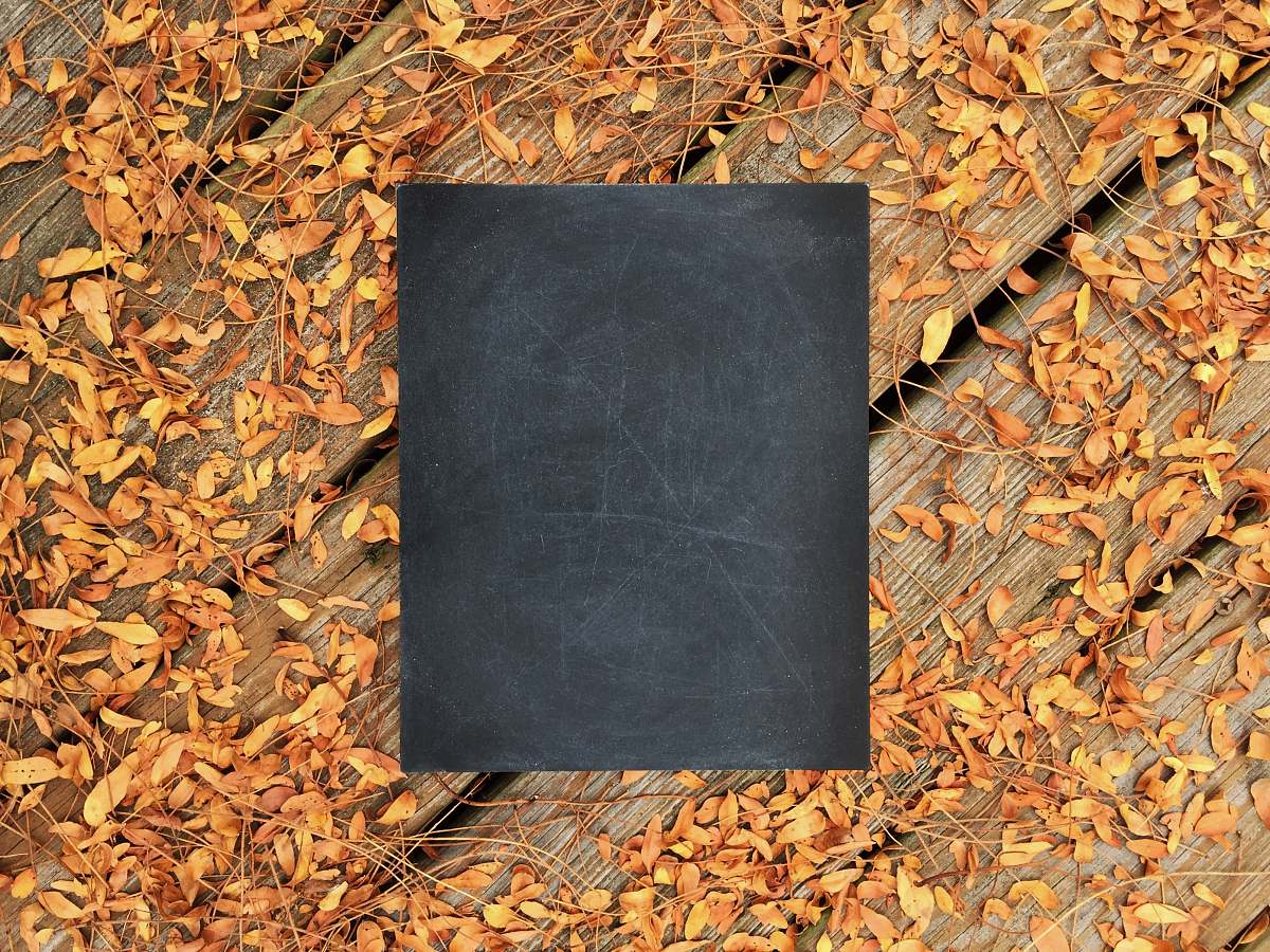 fall chalkboard on wooden surface with fallen leaves autumn
