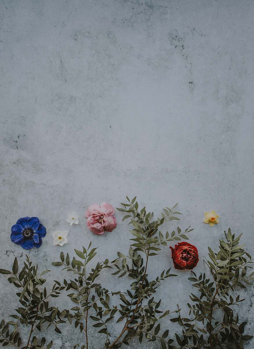 floral green and red flowers flower