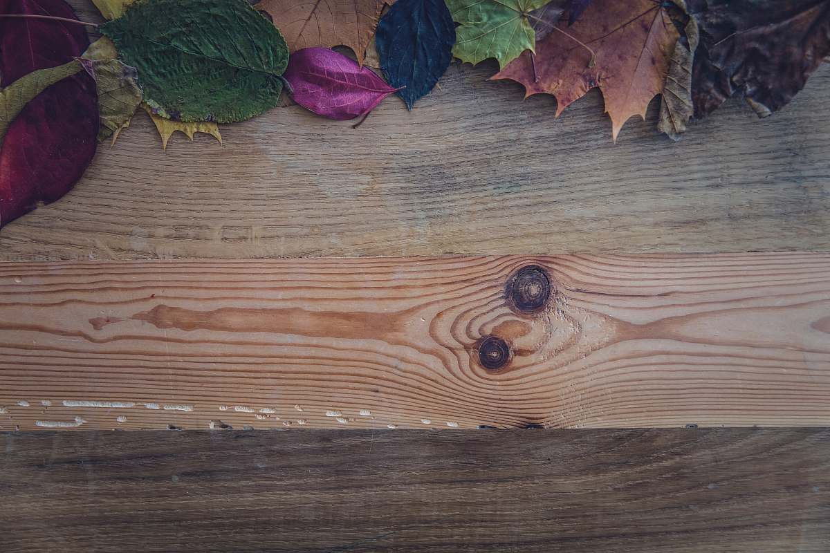 leaf brown wooden plank background