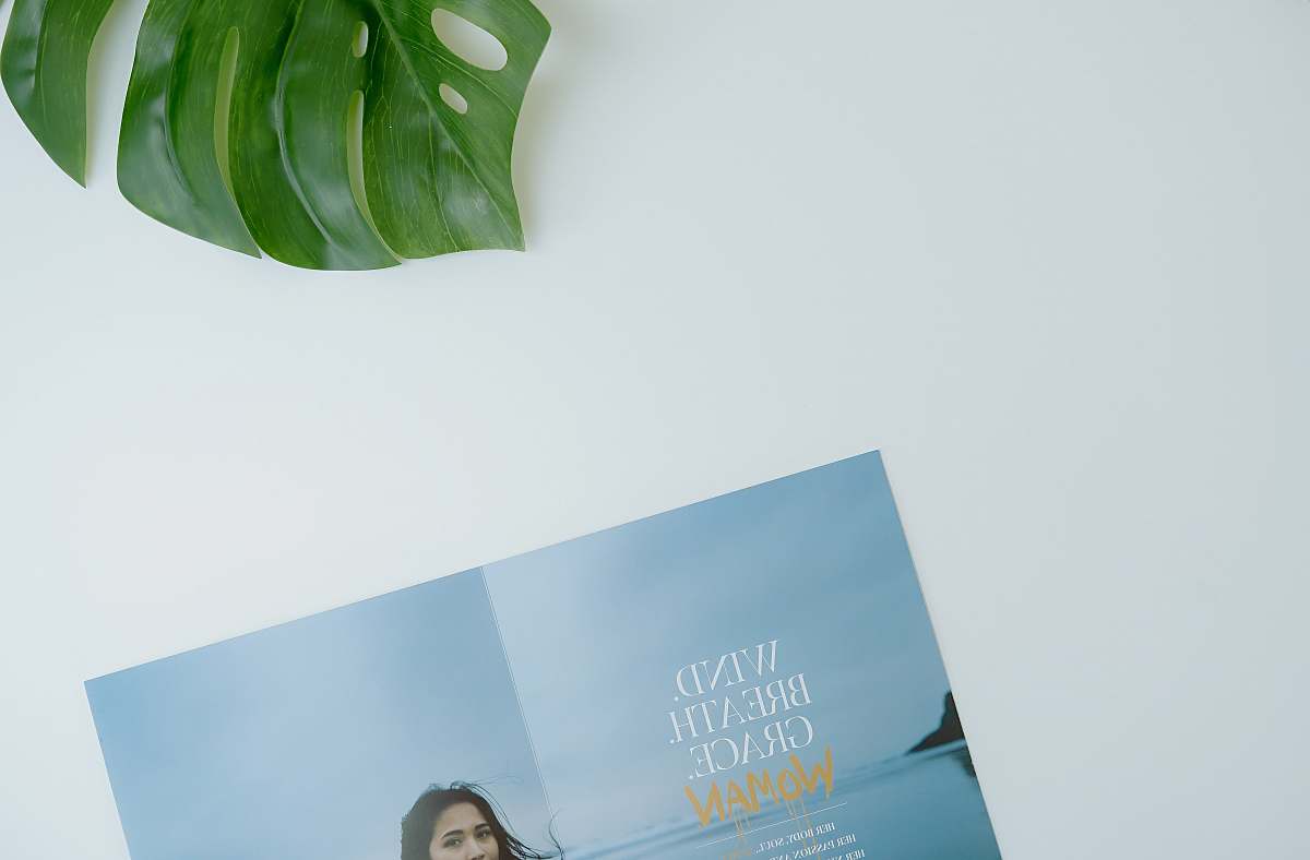 poster green Swiss cheese leaf beside open magazine on white platform flyer