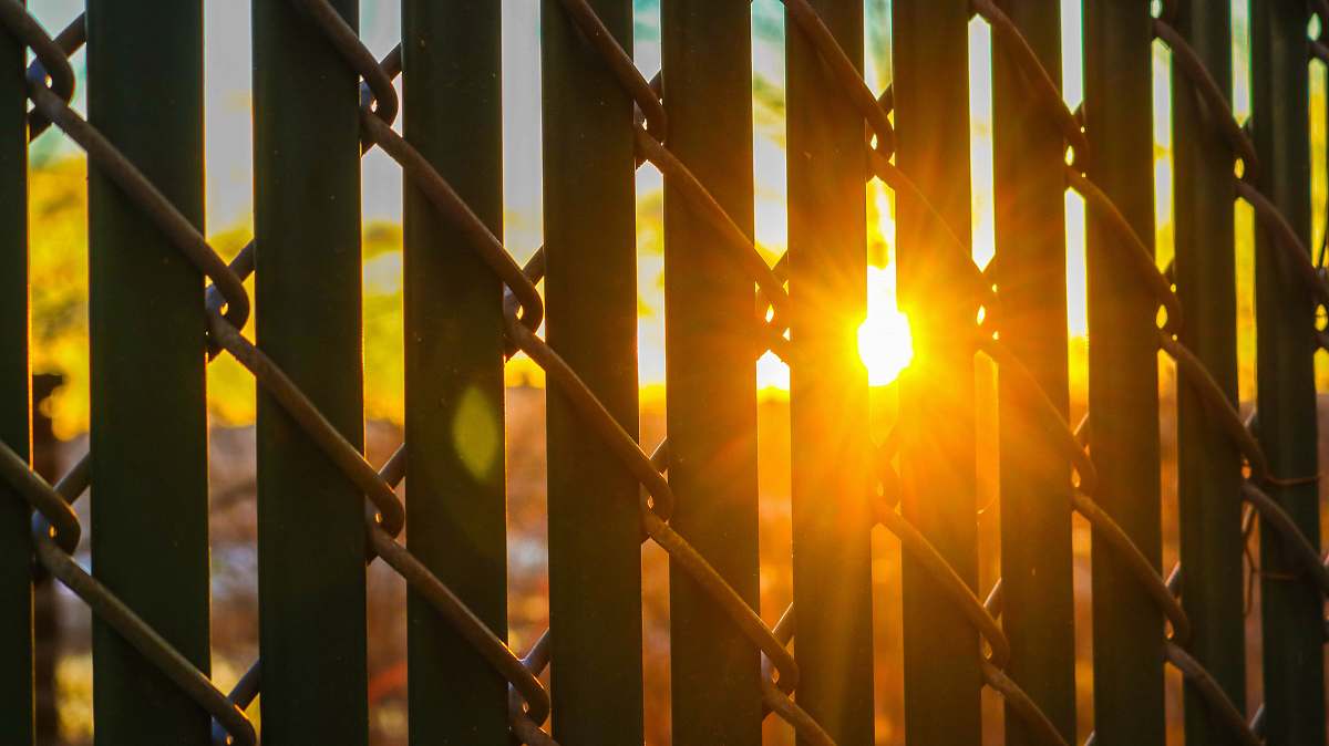 flare black grill with link fence against the sun light