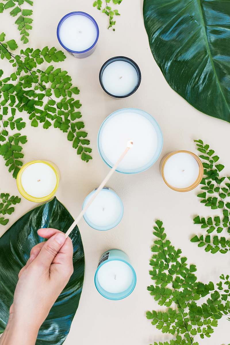 sydney candles near green plants australia